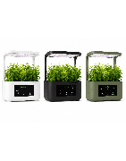 Potagers intelligent